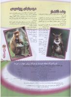 مجله نوجوان 75 صفحه 27