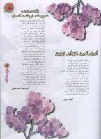 مجله نوجوان 76 صفحه 23