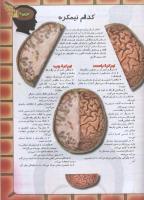 مجله نوجوان 77 صفحه 21