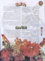 مجله نوجوان 79 صفحه 34