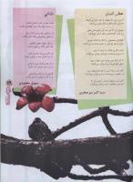مجله نوجوان 80 صفحه 29