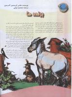 مجله نوجوان 80 صفحه 24