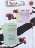 مجله نوجوان 80 صفحه 28