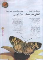 مجله نوجوان 81 صفحه 23