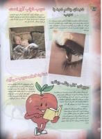 مجله نوجوان 81 صفحه 18