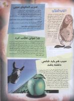 مجله نوجوان 81 صفحه 19