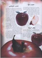 مجله نوجوان 81 صفحه 21