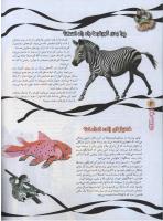 مجله نوجوان 82 صفحه 6