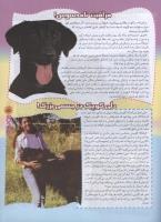 مجله نوجوان 83 صفحه 5