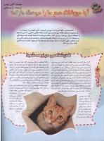 مجله نوجوان 83 صفحه 4