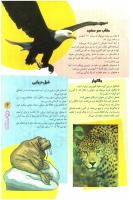 مجله نوجوان 84 صفحه 13