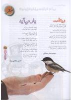 مجله نوجوان 85 صفحه 25