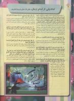 مجله نوجوان 85 صفحه 20