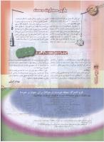 مجله نوجوان 85 صفحه 32