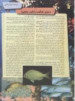 مجله نوجوان 87 صفحه 20