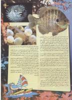 مجله نوجوان 87 صفحه 21