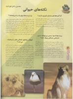 مجله نوجوان 90 صفحه 6