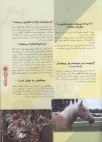 مجله نوجوان 90 صفحه 7