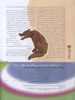 مجله نوجوان 93 صفحه 32
