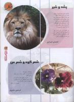 مجله نوجوان 93 صفحه 23