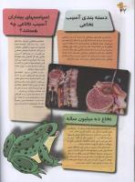 مجله نوجوان 93 صفحه 22