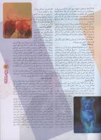 مجله نوجوان 94 صفحه 7