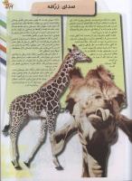مجله نوجوان 94 صفحه 19