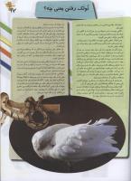 مجله نوجوان 94 صفحه 17