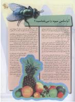 مجله نوجوان 96 صفحه 19