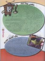 مجله نوجوان 96 صفحه 25
