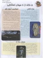 مجله نوجوان 97 صفحه 24