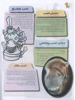 مجله نوجوان 98 صفحه 22