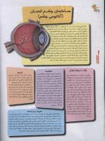 مجله نوجوان 102 صفحه 16