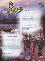 مجله نوجوان 103 صفحه 28