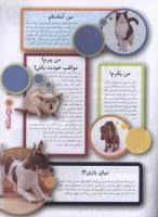 مجله نوجوان 103 صفحه 7