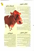 مجله نوجوان 104 صفحه 21