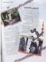 مجله نوجوان 107 صفحه 6