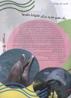 مجله نوجوان 111 صفحه 7