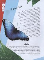 مجله نوجوان 113 صفحه 7