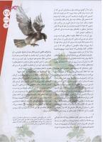 مجله نوجوان 115 صفحه 27