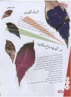 مجله نوجوان 115 صفحه 30