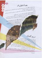 مجله نوجوان 115 صفحه 31