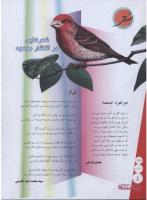 مجله نوجوان 134 صفحه 8