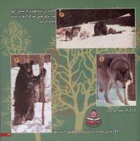 مجله خردسال 5 صفحه 23