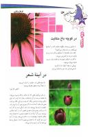 مجله نوجوان 137 صفحه 26