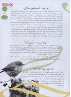 مجله نوجوان 145 صفحه 11