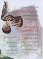 مجله نوجوان 145 صفحه 23