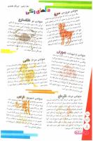 مجله نوجوان 148 صفحه 8