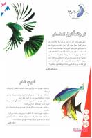 مجله نوجوان 148 صفحه 34