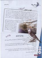 مجله نوجوان 160 صفحه 30